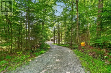 1355 BELLWOOD ACRES ROAD Lake of Bays (Ridout) Ontario photo 46