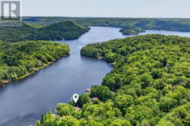 1355 BELLWOOD ACRES ROAD Lake of Bays (Ridout) Ontario photo 47