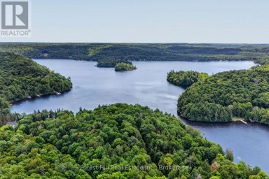 1355 BELLWOOD ACRES ROAD Lake of Bays (Ridout) Ontario photo 48