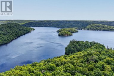 1355 BELLWOOD ACRES ROAD Lake of Bays (Ridout) Ontario photo 49