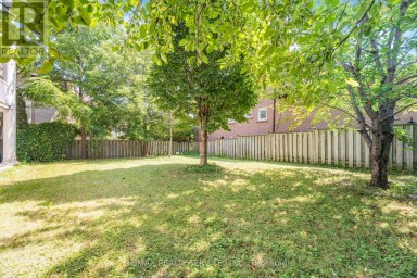 135 SPRUCE AVENUE Richmond Hill (South Richvale) Ontario photo 20