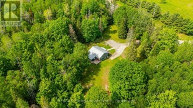 17900 HIGHWAY 118 Highlands East (Monmouth) Ontario photo 41