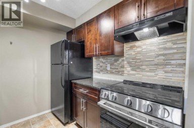 210, 15 Saddlestone Way NE Calgary Alberta photo 18