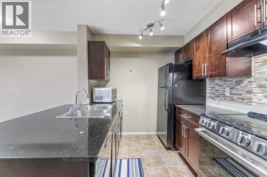 210, 15 Saddlestone Way NE Calgary Alberta photo 19