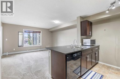 210, 15 Saddlestone Way NE Calgary Alberta photo 20