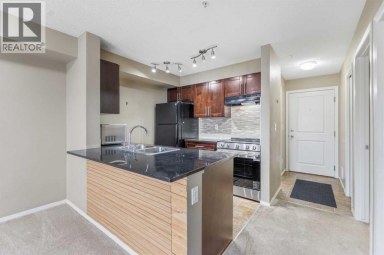 210, 15 Saddlestone Way NE Calgary Alberta photo 21