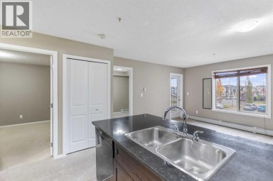 210, 15 Saddlestone Way NE Calgary Alberta photo 22
