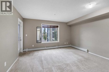 210, 15 Saddlestone Way NE Calgary Alberta photo 24