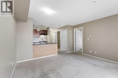210, 15 Saddlestone Way NE Calgary Alberta photo 26