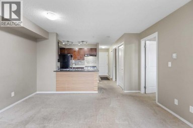 210, 15 Saddlestone Way NE Calgary Alberta photo 27