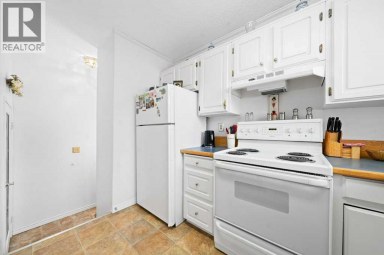 19 Greenbrook Way E Brooks Alberta photo 10