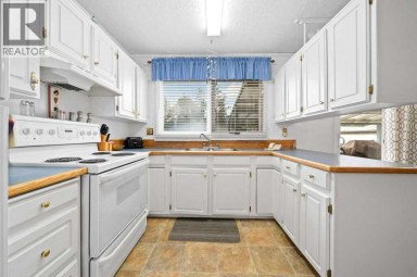 19 Greenbrook Way E Brooks Alberta photo 9