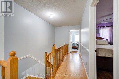 42 - 7115 REXWOOD ROAD Mississauga (Malton) Ontario photo 19