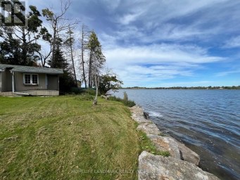 520 FRALICKS BEACH ROAD Scugog Ontario photo 5