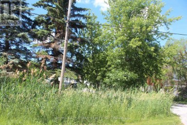 180 FREDERICK STREET Georgina (Keswick North) Ontario photo 9