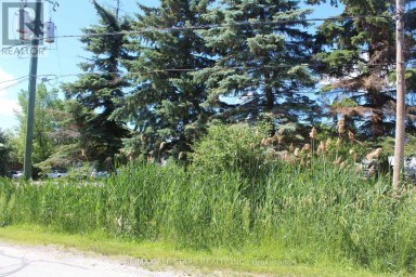 182 FREDERICK STREET Georgina (Keswick North) Ontario photo 13