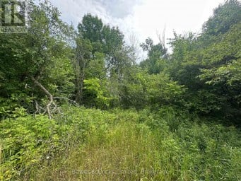 0 CENTRE LINE ROAD Madoc Ontario photo 11