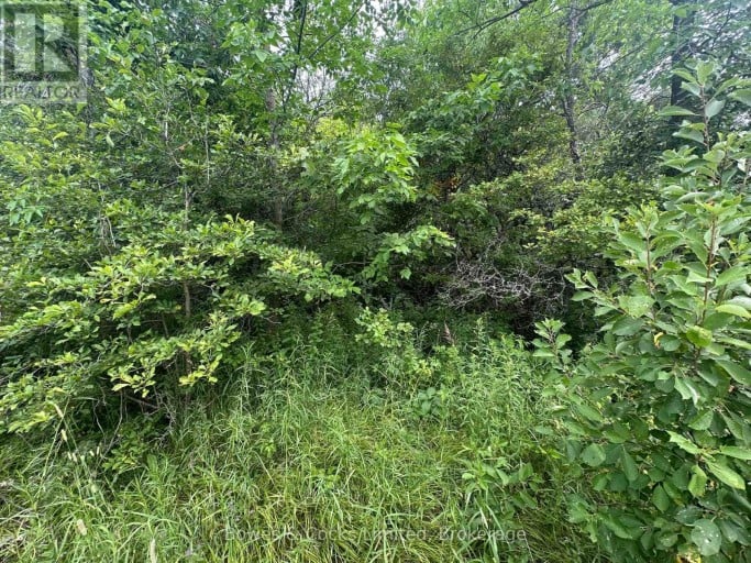 0 CENTRE LINE ROAD, Madoc, Ontario, K0K2M0