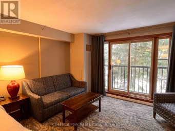 213 - 156 JOZO WEIDER BOULEVARD Blue Mountains Ontario photo 11