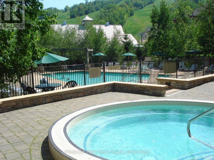 213 - 156 JOZO WEIDER BOULEVARD, Blue Mountains, Ontario, L9Y0V2