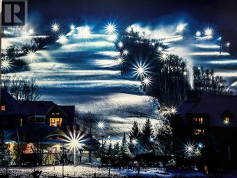 213 - 156 JOZO WEIDER BOULEVARD Blue Mountains Ontario photo 32