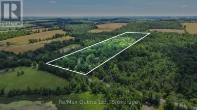 35 CONCESSION ROAD 11 ROAD E Trent Hills Ontario photo 4