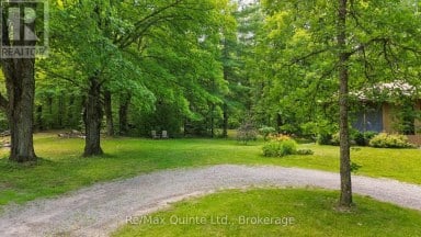 35 CONCESSION ROAD 11 ROAD E Trent Hills Ontario photo 47