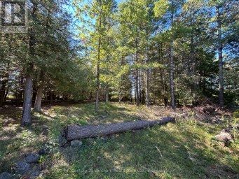 67 ROCKHAVEN CRESCENT Marmora and Lake (Marmora Ward) Ontario photo 30