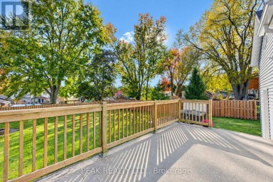 12 JOHN STREET W Blandford-Blenheim (Bright) Ontario photo 40