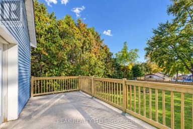 12 JOHN STREET W Blandford-Blenheim (Bright) Ontario photo 41