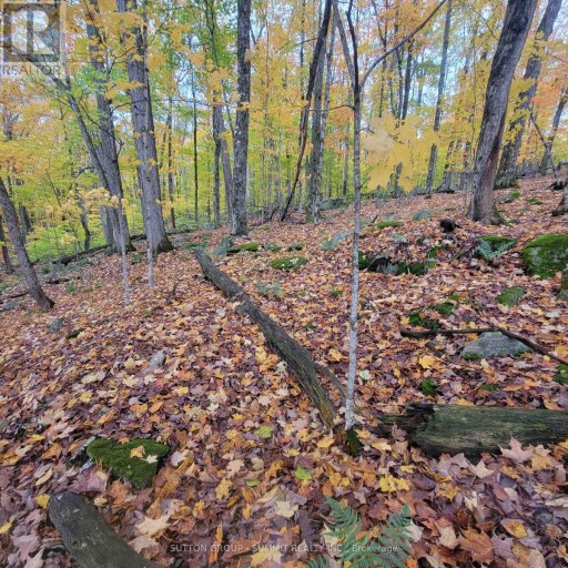 261 WESTPOINT SANDS ROAD, Huntsville (Brunel), Ontario, P1H2J3