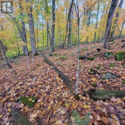 261 WESTPOINT SANDS ROAD Huntsville (Brunel) Ontario photo 1