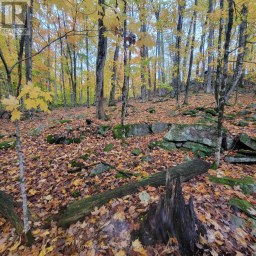 261 WESTPOINT SANDS ROAD Huntsville (Brunel) Ontario photo 2