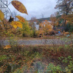 261 WESTPOINT SANDS ROAD Huntsville (Brunel) Ontario photo 3