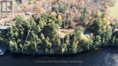 536 SPRINGFIELD ROAD Huntsville (Brunel) Ontario photo 2