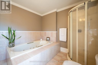 522 GEORGE STREET Cobourg Ontario photo 25