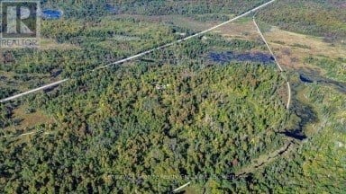22934 62 HIGHWAY S Limerick Ontario photo 10