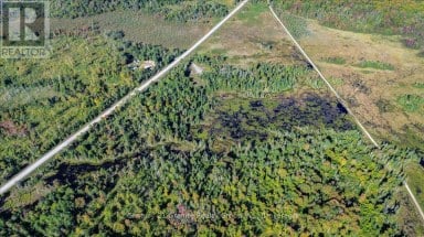 22934 62 HIGHWAY S Limerick Ontario photo 12