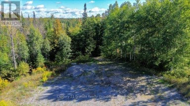 22934 62 HIGHWAY S Limerick Ontario photo 19