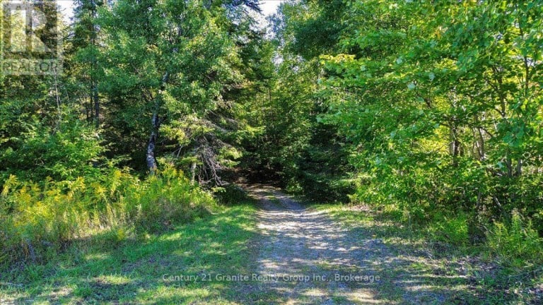 22934 62 HIGHWAY S, Limerick, Ontario, K0L1W0