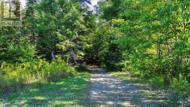 22934 62 HIGHWAY S Limerick Ontario photo 20