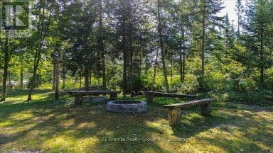 22934 62 HIGHWAY S Limerick Ontario photo 21