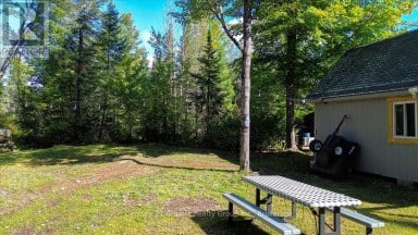 22934 62 HIGHWAY S Limerick Ontario photo 25