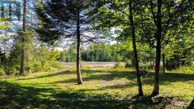 22934 62 HIGHWAY S Limerick Ontario photo 29