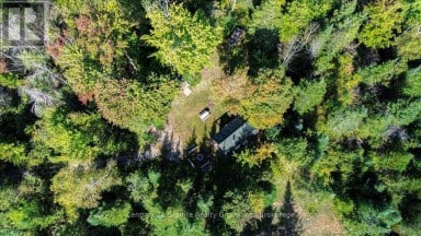 22934 62 HIGHWAY S Limerick Ontario photo 32