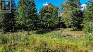 22934 62 HIGHWAY S Limerick Ontario photo 33