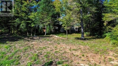 22934 62 HIGHWAY S Limerick Ontario photo 34