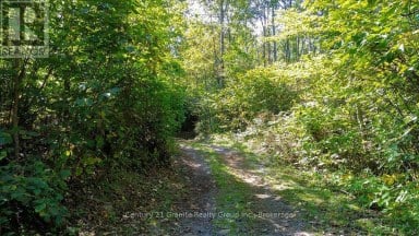 22934 62 HIGHWAY S Limerick Ontario photo 36