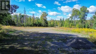 22934 62 HIGHWAY S Limerick Ontario photo 38