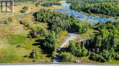 22934 62 HIGHWAY S Limerick Ontario photo 5